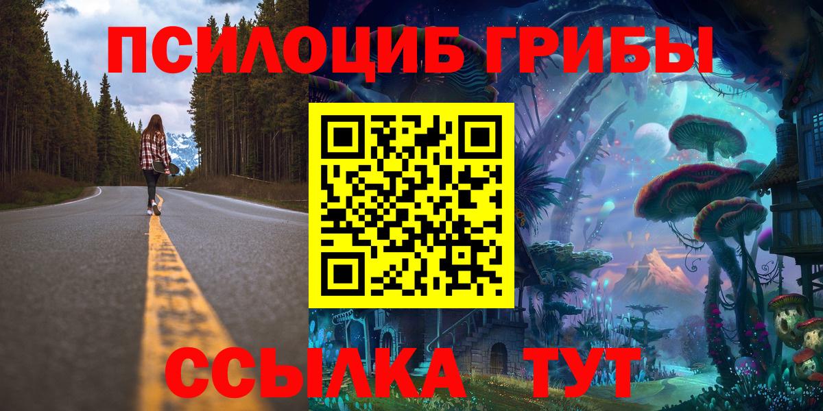 Псилоцибиновые грибы прущие грибы Вязьма